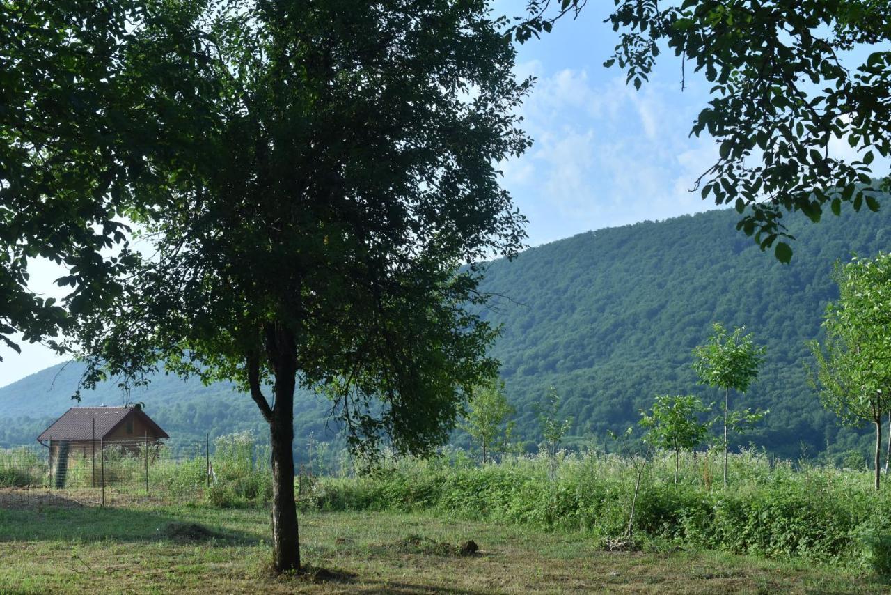 Imanje Jelas Slunj Exterior foto